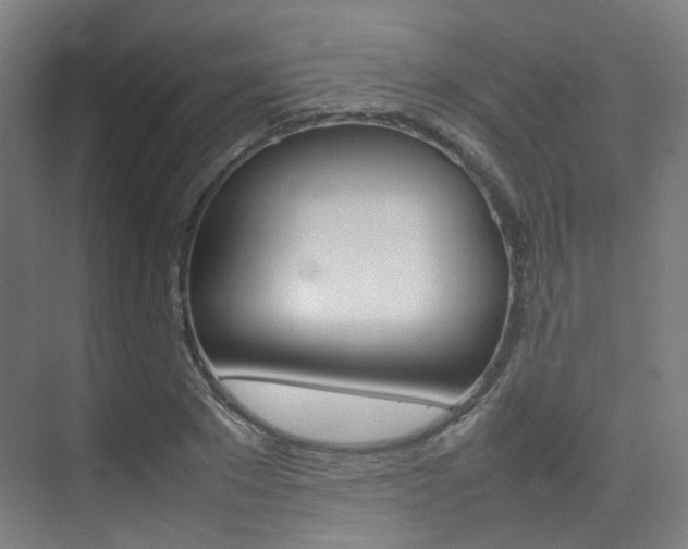 X0000075360881200609080836