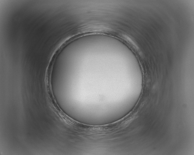 X0000075360883200609080836