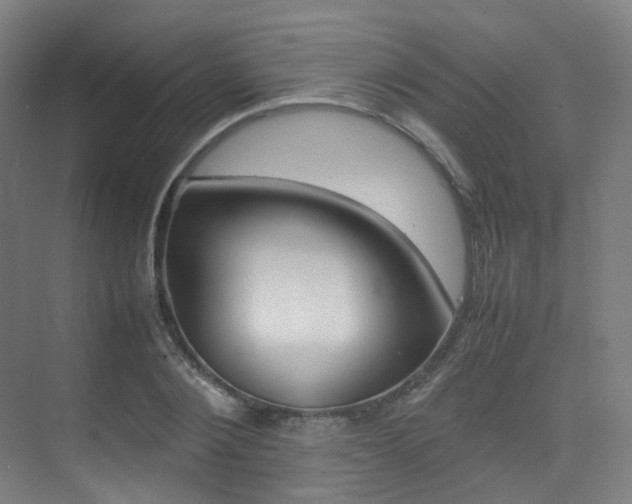 X0000075360884200609080836