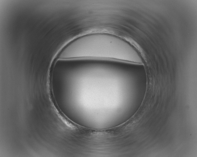 X0000075360894200609080835