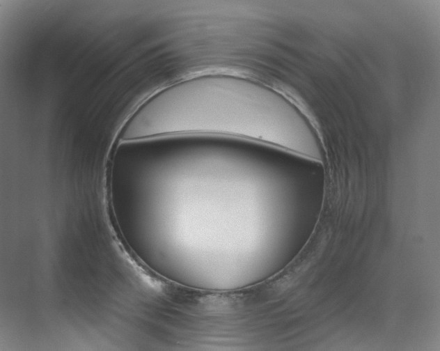 X0000075360898200609080835