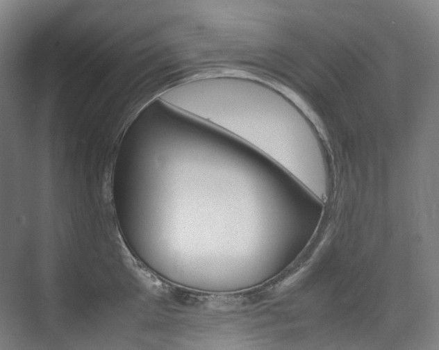 X0000075360905200609080835