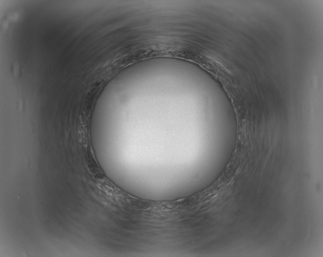 X0000075360917200609080834