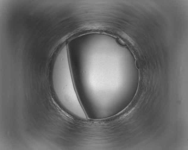 X0000075360922200609080834