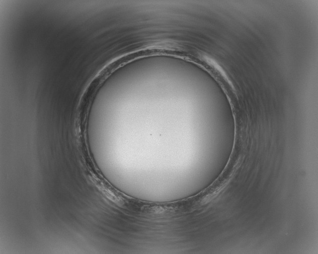 X0000075360923200609080835