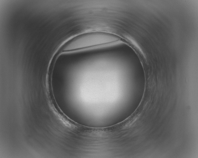 X0000075360932200609080835