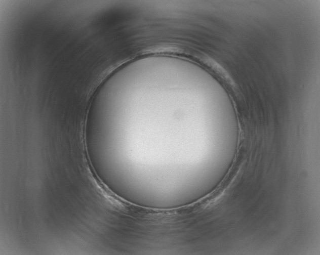 X0000075360937200609080835