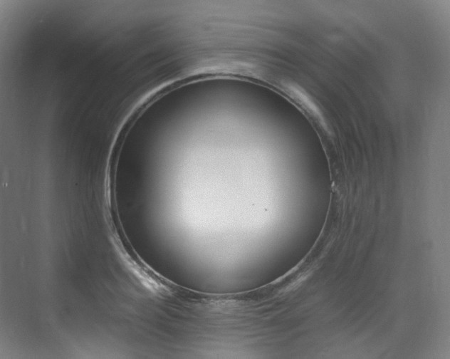 X0000075360940200609080835