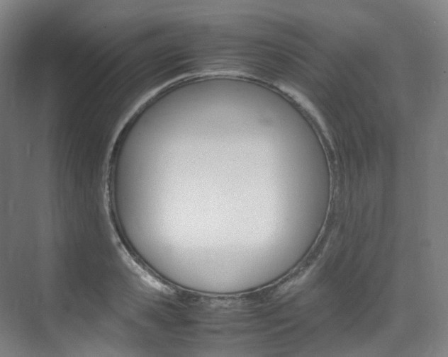 X0000075360941200609080835