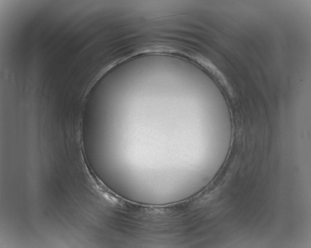 X0000075360945200609080835