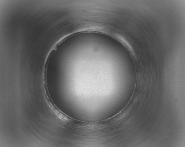 X0000075360948200609080835