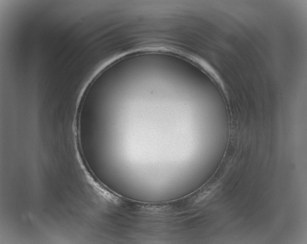 X0000075360951200609080835