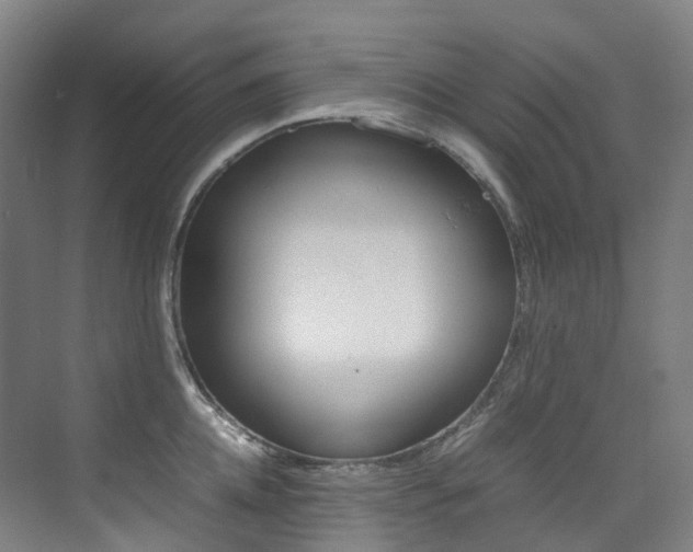 X0000075360952200609080835