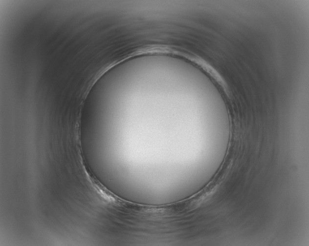 X0000075360953200609080835