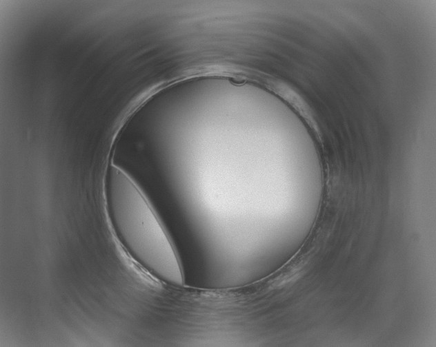 X0000075360954200609080835