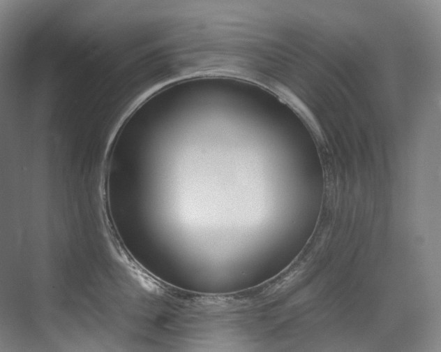 X0000075360956200609080835