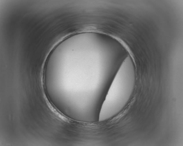 X0000075360957200609080835