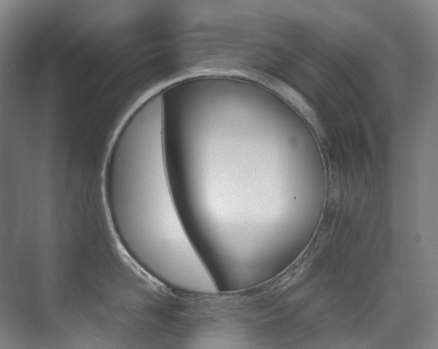 X0000075360958200609080835