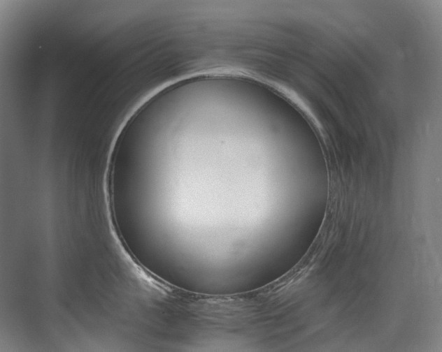 X0000075360959200609080835