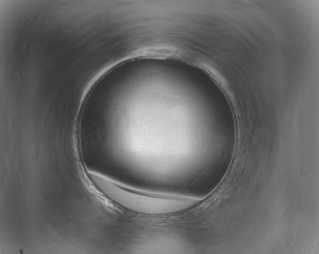 X0000075360960200609080835