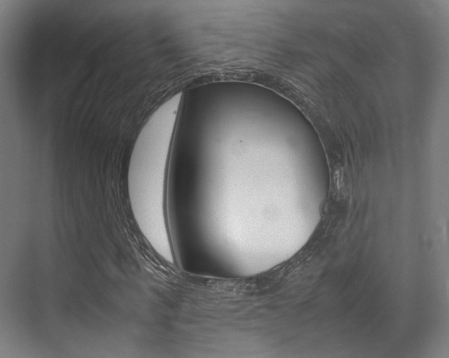 X0000075360963200609080834