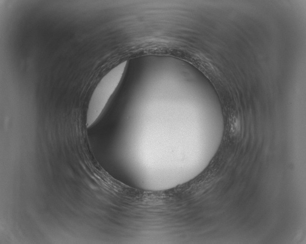 X0000075360964200609080834