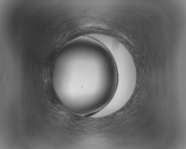 X0000075360965200609080834