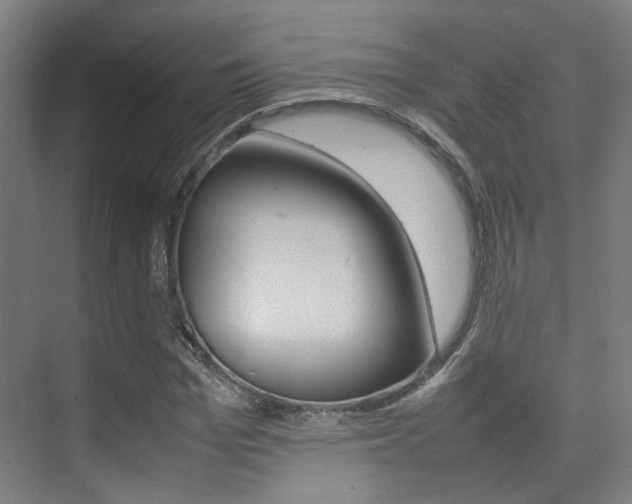 X0000075360969200609080834