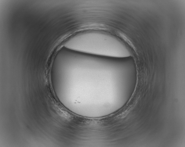 X0000075360970200609080834