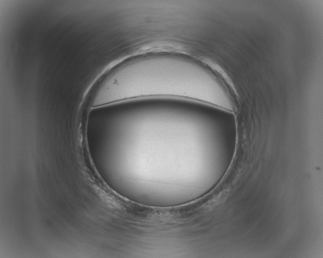 X0000075360973200609080834