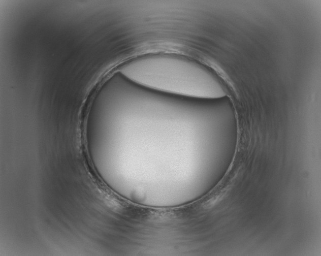 X0000075360978200609080834