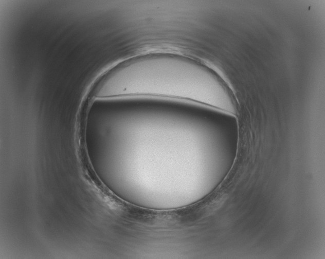 X0000075360979200609080834