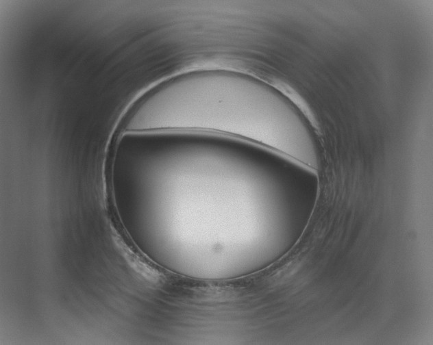 X0000075360980200609080834