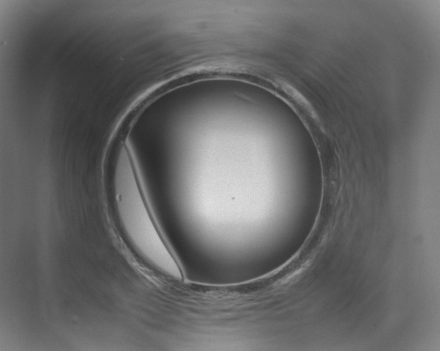 X0000075360981200609080834