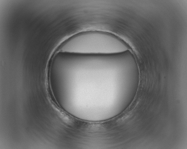 X0000075360982200609080834