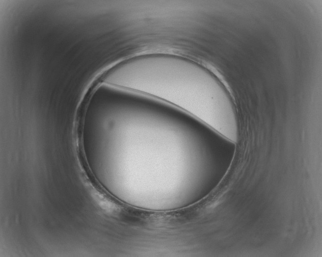 X0000075360987200609080834