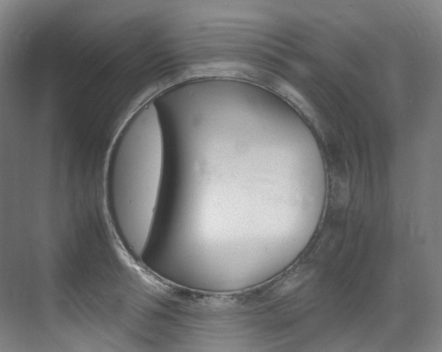 X0000075360994200609080834