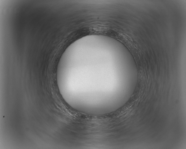 X0000075361009200609080833