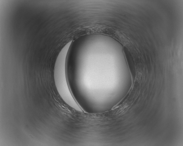 X0000075361010200609080833