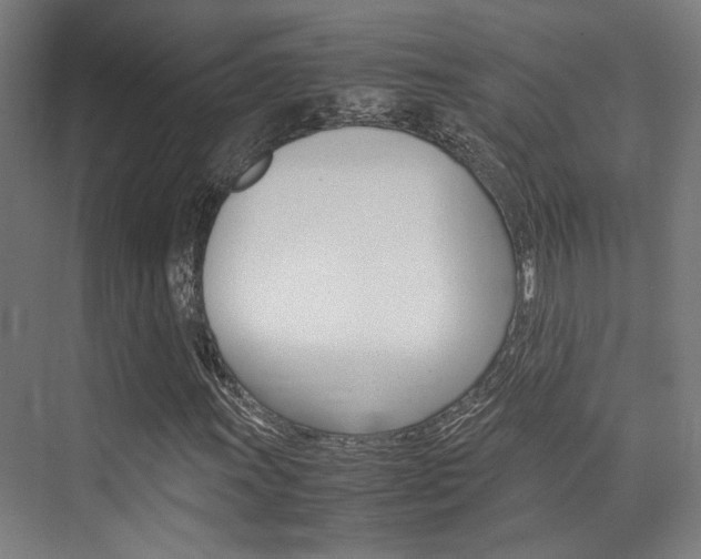 X0000075361011200609080833