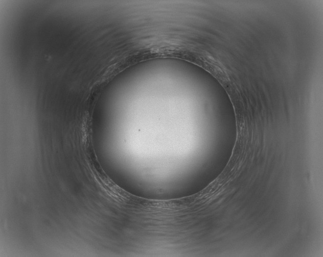 X0000075361012200609080833
