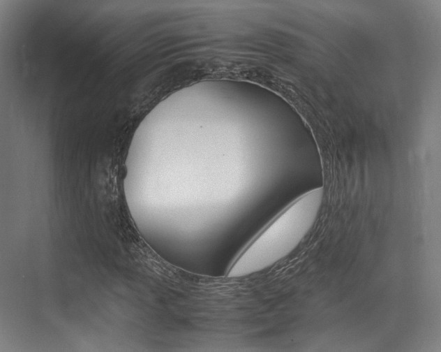 X0000075361013200609080833