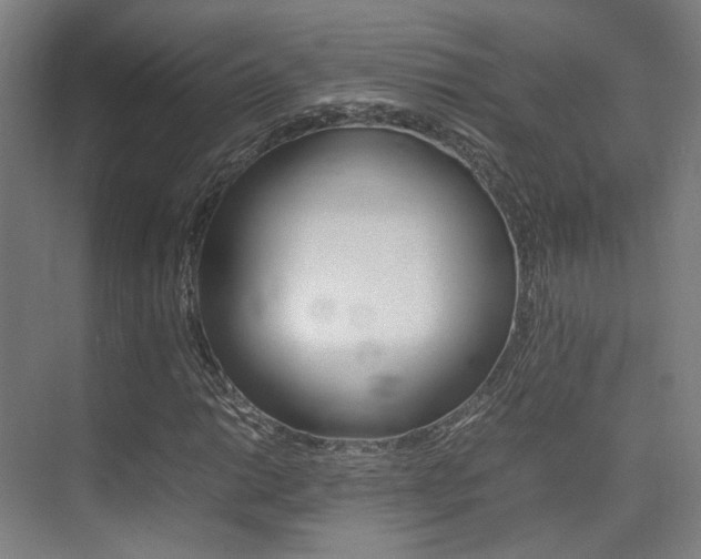 X0000075361014200609080833