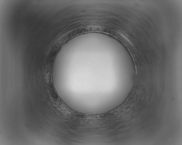 X0000075361015200609080833