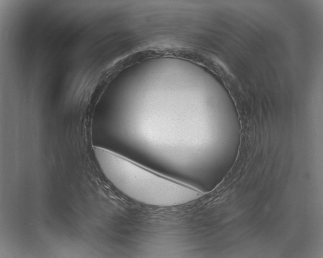 X0000075361016200609080833