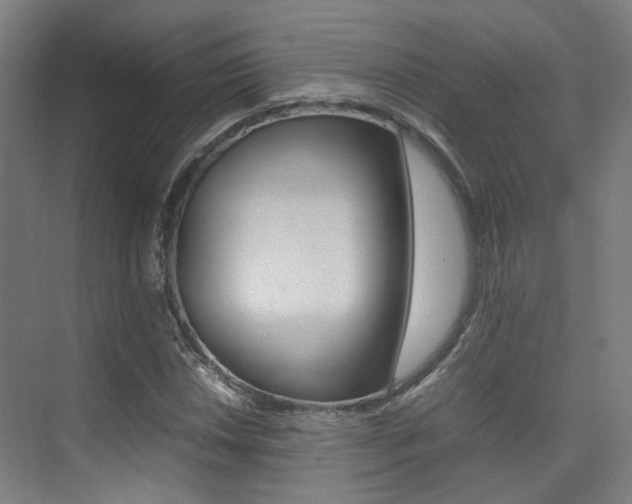 X0000075361018200609080833