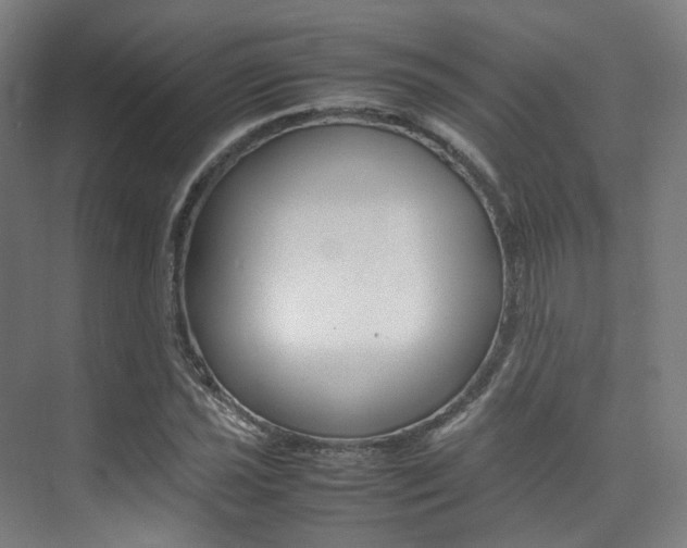 X0000075361021200609080833