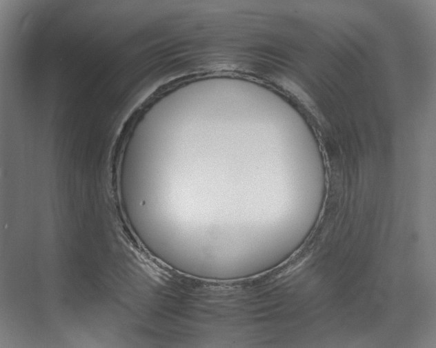 X0000075361023200609080833