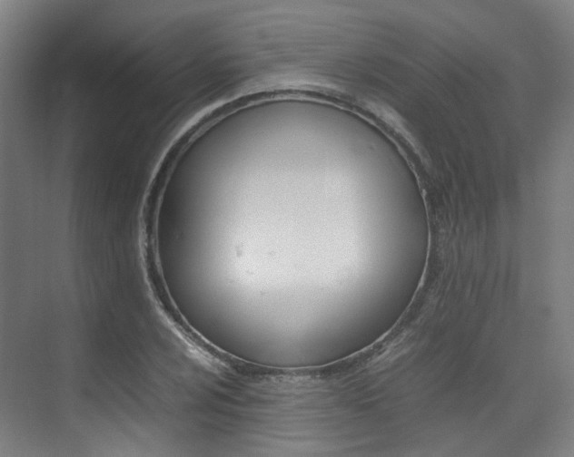 X0000075361024200609080833