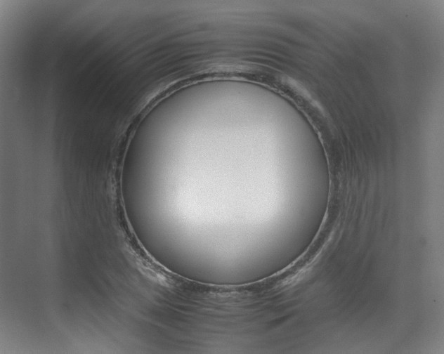 X0000075361025200609080833